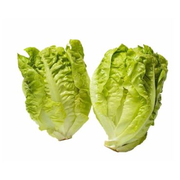 Lettuce Little Gem Green, 450 g