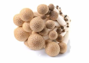 Brown Shimeji Mushroom, 150G