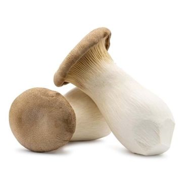 Oyster King Mushroom, 200g