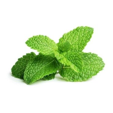 Mint Leaves 250G