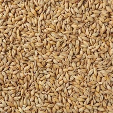 Jav/Jau (Whole Barley) 3 Kg