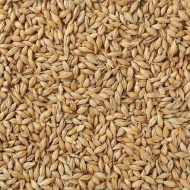 Jav/Jau Whole Barley, 1Kg