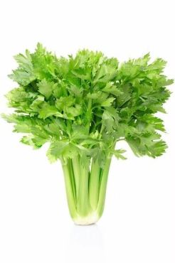 Celery, 1Kg