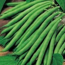 Beans