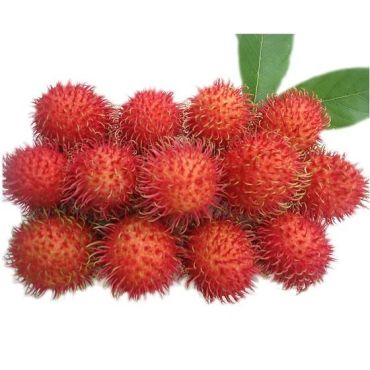 Rambutan
