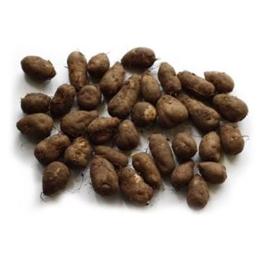 Koorka, 1 KG