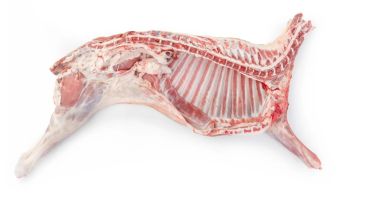 Fresh Half Lamb, 8-10 Kg