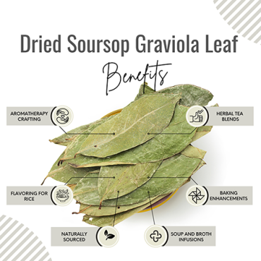 Awafi Mill Soursop Leaves Graviola Annona Muricata pack of 25