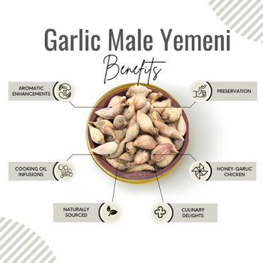 Awafi Mill Garlic Male Yemeni yemen Allium 100gm