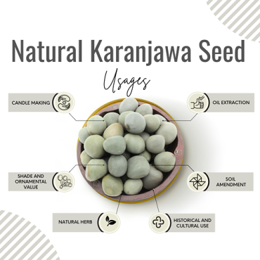 Awafi Mill Karanjawa Seeds-Beej Caesalpinia Bonduc 100gm