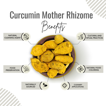 Awafi Mill Curcumin Mother Rhizome Dried Turmeric 100gm