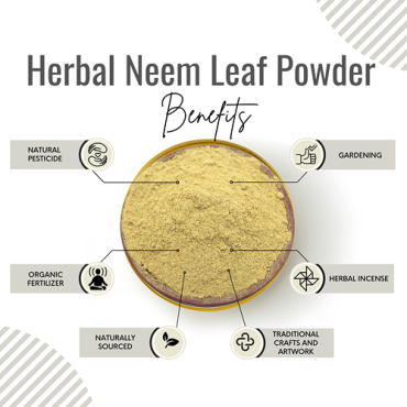 Awafi Mill Neem Leaf Powder Azadirachta Indica 100gm