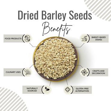 Awafi Mill Dried Whole Barley Seed Cereal Grain 100gm