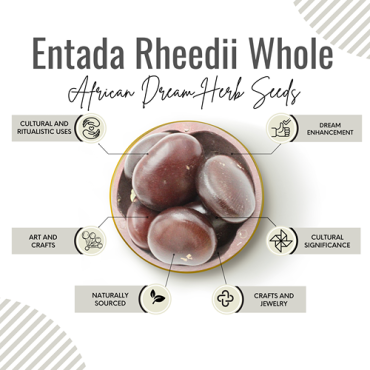 Awafi Mill Entada Rheedii Seed African Dream herb 15 seeds