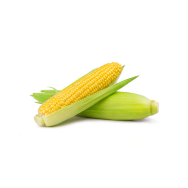 Sweet Corn UAE 400g-500g (Approx. 2-3 Pcs)